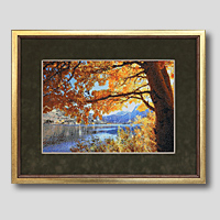 クロスステッチ刺繍額装-400