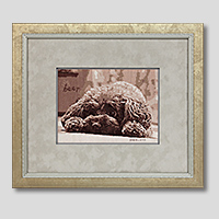 クロスステッチ刺繍額装-586