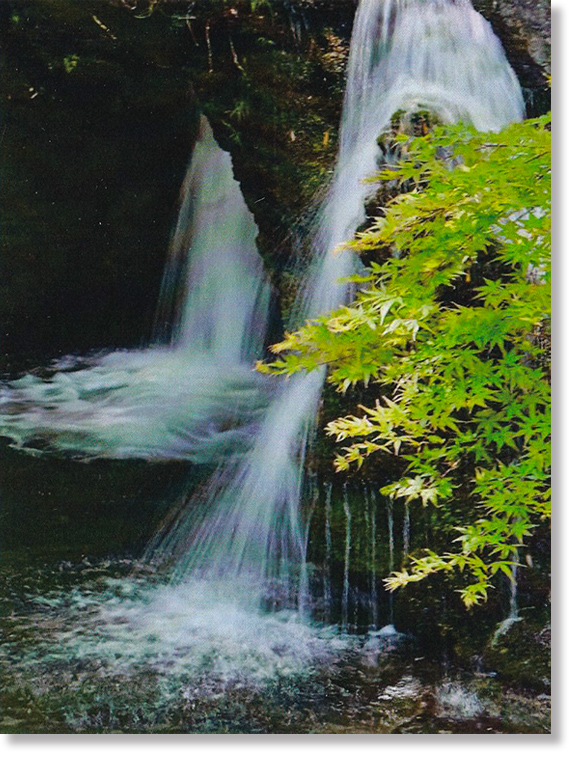 写真クラブ写真展