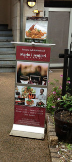 mario-1.jpg